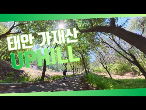 태안 가재산 업힐&다운힐